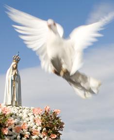 Em resposta ao apelo do Papa Francisco, o Santuário de Fátima convidou os peregrinos a viver um dia de jejum e de oração pela paz na Síria