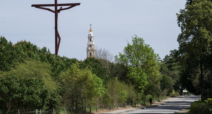 Da floresta dos Valinhos ao verde que abraça o Recinto, as árvores são incontornáveis na história de Fátima