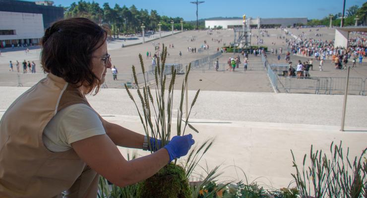 Por estes dias, há um novo jardim no Santuário de Fátima