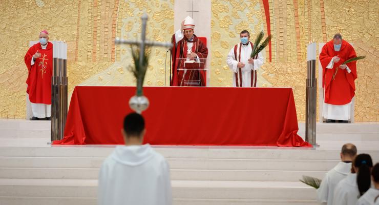 “Não podemos ser cristãos adormecidos” alertou o Cardeal D. António Marto na missa do Domingo de Ramos