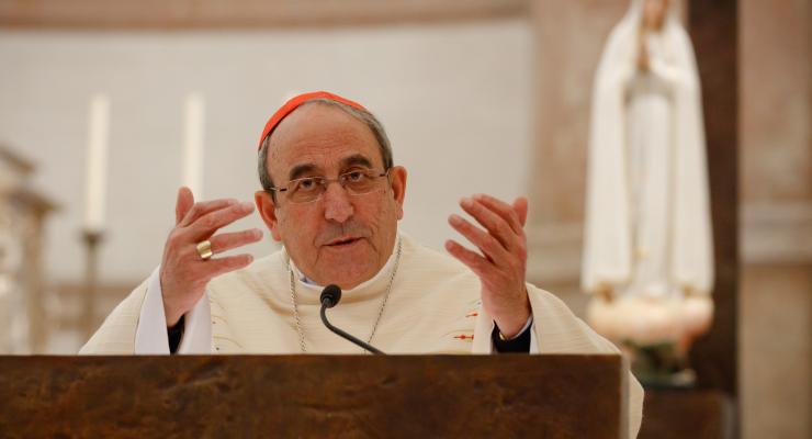 Bispo de Leiria-Fátima pede a intercessão de São Francisco Marto na missão reparadora para “curar as feridas” da humanidade, do mundo e da Igreja