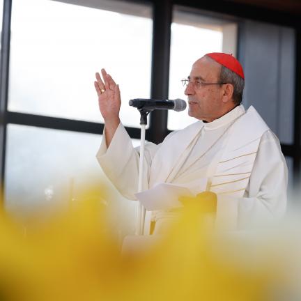 Cardeal D. António Marto confia “problemas atuais da igreja” à proteção de Nossa Senhora